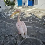 Apartamento Lalaland Mykonos Town