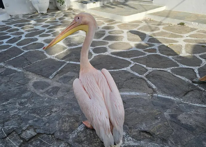 Appartement Lalaland Mykonos Town