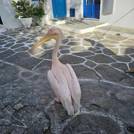 Apartment Lalaland Mykonos Town